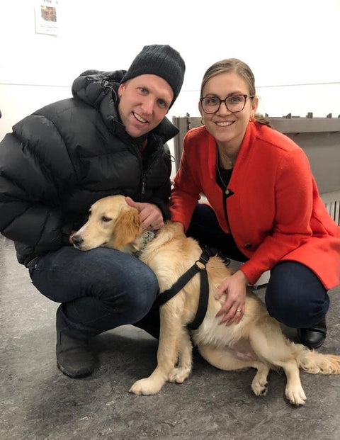 Conseils pour Adopter un Chien: L'histoire de Sunshine