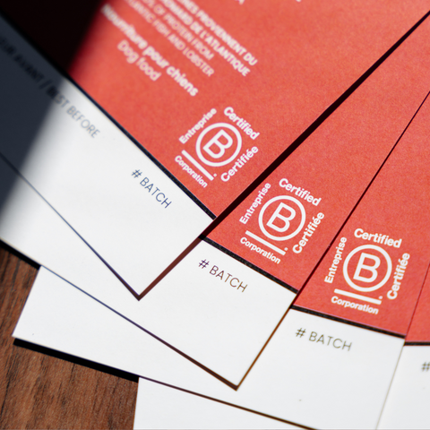 Notre aventure pour devenir une entreprise certifiée B Corp