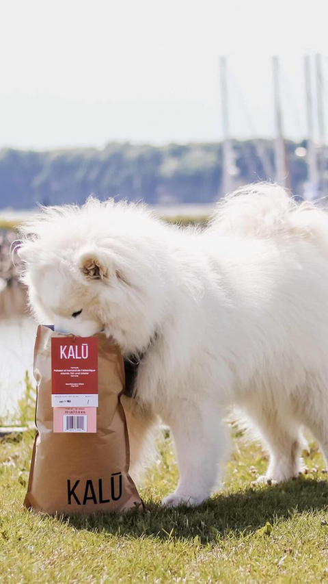 Liste de chansons pour votre prochaine promenade - KALU.co