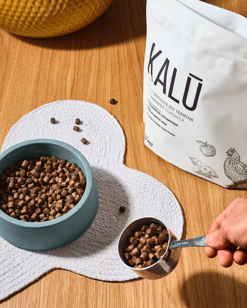 Nourriture pour Chiens et Chats KALŪ