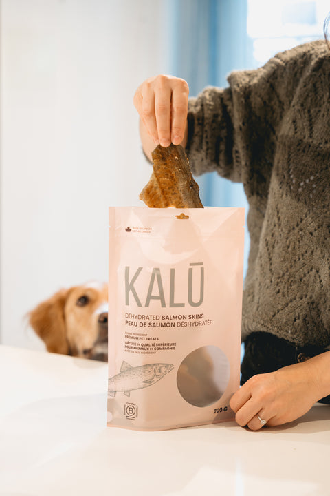 Dehydrated Salmon Skins