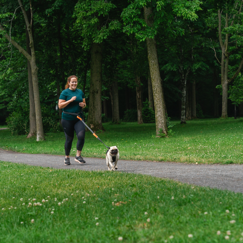 Quelques activités originales à pratiquer avec votre chien en plein-air